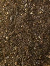 office plants soil office plants soil